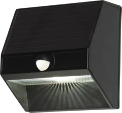 Star Trading 481-15 LED-Solar-Wandleuchte "Wally"Kunststoff, Ca. 11x11 Cm, 1 Warmwhite LED,Bewegungssensor 5/50 LM, Solarpanel, Akku, Schwarz, Outdoor, Vierfarb-Karton